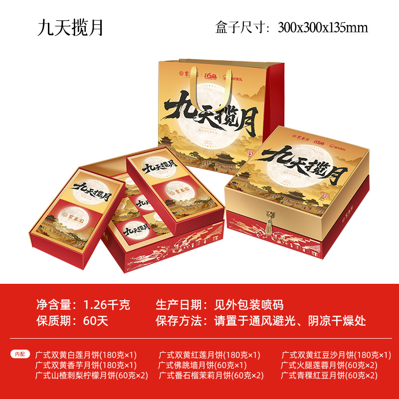 九天揽月